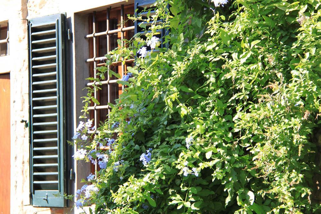 Antica Casa le Rondini Bed & Breakfast Borgo a Buggiano Exterior foto